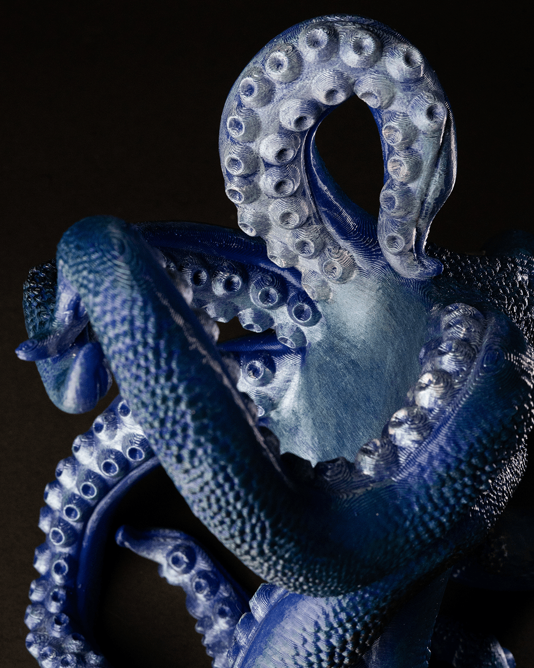 Bordeaux, The Octopus Wine Holder - Image 3