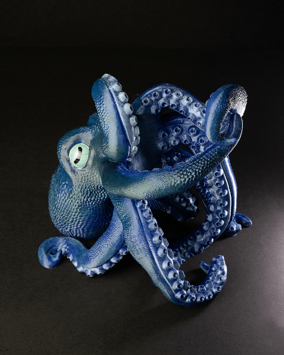 Bordeaux, The Octopus Wine Holder - Image 4