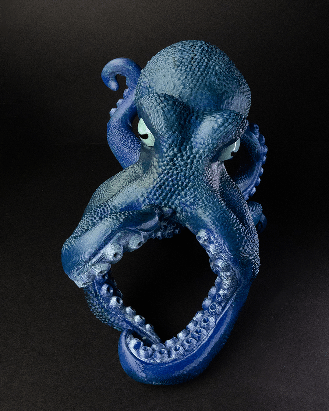 Bordeaux, The Octopus Wine Holder - Image 5